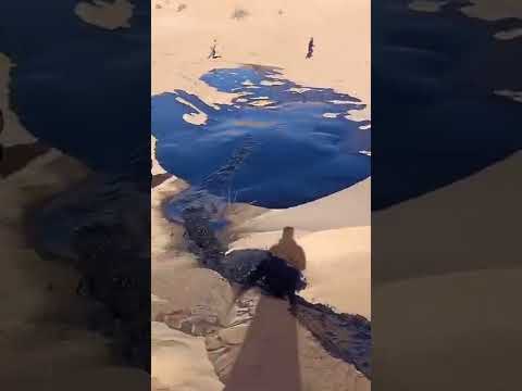 Video: Adakah padang pasir mempunyai sungai?