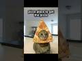 I got the Evil Larry Pizza😈😈 #shorts #funny #comedy
