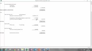 Brightcel Estate capital and Balance Sheets