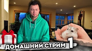 Корявый VLOG в прямом эфире! День рождения!