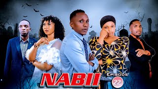 NABII 《22》