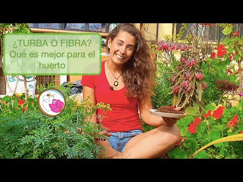 Video: Uso de turba de coco para las plantas: los pros y los contras del suelo de turba de coco