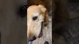 Çok Özledik Seni Hera..