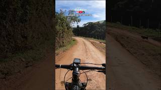 Os cachorros na torcida #mtb