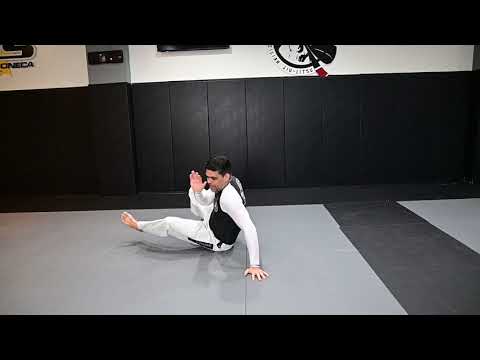 Tribe Bjj Academy Home Training 2