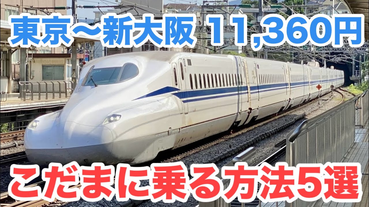 Don't Miss Out! 5 Ways to Save Big on the Kodama Shinkansen (Over