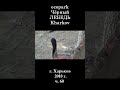 █ ЭкоПарк Харьков ч.60 / Чёрный ЛЕБЕДЬ / 2018 г.  #shorts