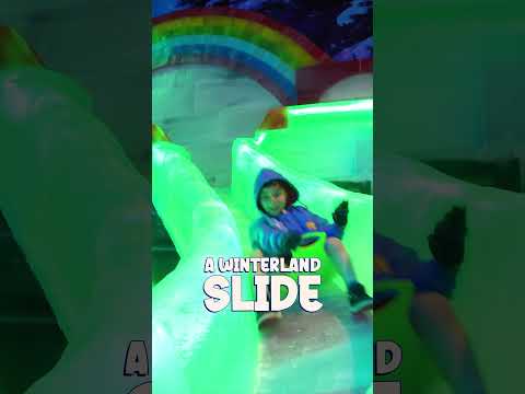 Escape the Heat with Winterland 2.0