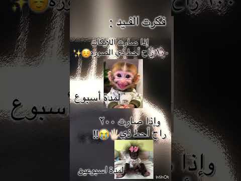 اخايفه من الاثنينننن