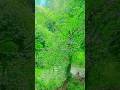 #hindisong #सावन #bollywood #ब्लॉग