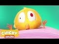 ¿Dónde está Chicky? 2020 | CHICKY ESTÁ HERIDO | Dibujos Animados Para Niños