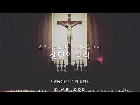 영상썸네일