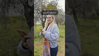 You Pretend To Understand Greek 🤣🇬🇷
