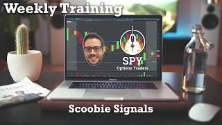 Scoobie Signal thinkscript indicator training - SPY Options Traders