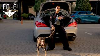 Rinor - Transporti