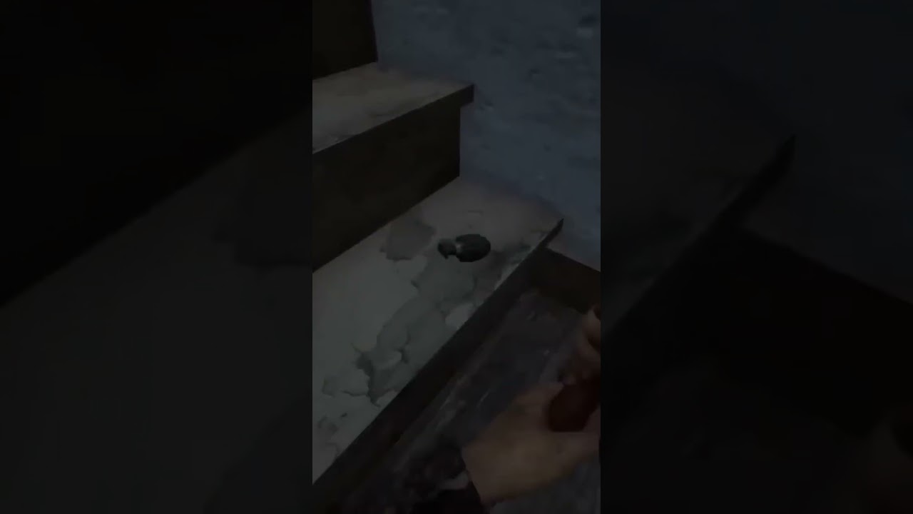 Нежданчик с гранатой 