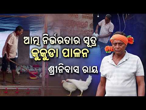 ଆତ୍ମନିର୍ଭରତାର ସୂତ୍ର କୁକୁଡ଼ା ପାଳନ | Success Story of Srinivas Ray | Krishi Darshan | DD Odia