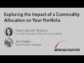 Exploring the Impact of a Commodity Allocation on Your Portfolio