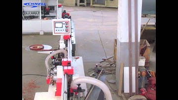 Schnell Double Edge Banding PVC Door door line Edge Banding Machine Working show & Edge effect
