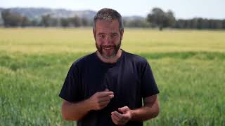 Dr Jason Condon - Soil Scientist - Careers in Primary Industries