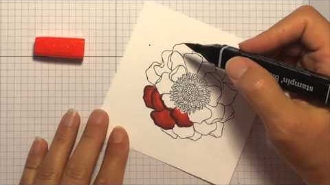 Blendabilities Basic Techniques