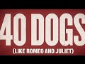 40 Dogs (Like Romeo and Juliet)