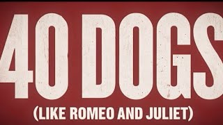40 Dogs (Like Romeo and Juliet)