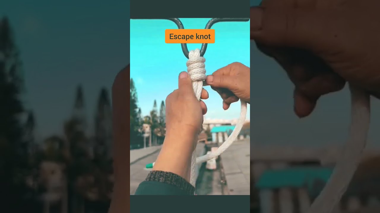 Knot Skills Escape Construction Work Dragging Heavy Objects Rock Climbing And Adventure