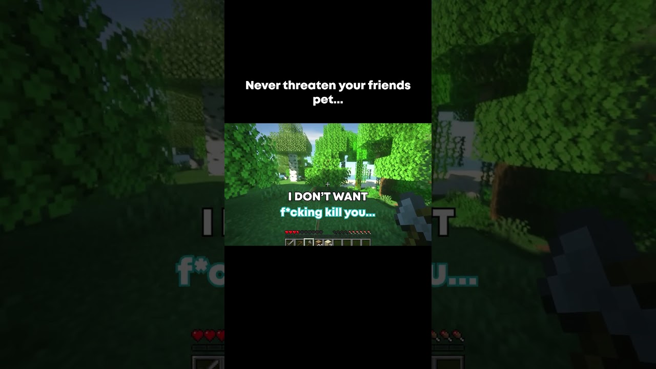 Minecraft pets mean more than your friends #funnymoments #minecraft #funny #minecraftmemes #shorts