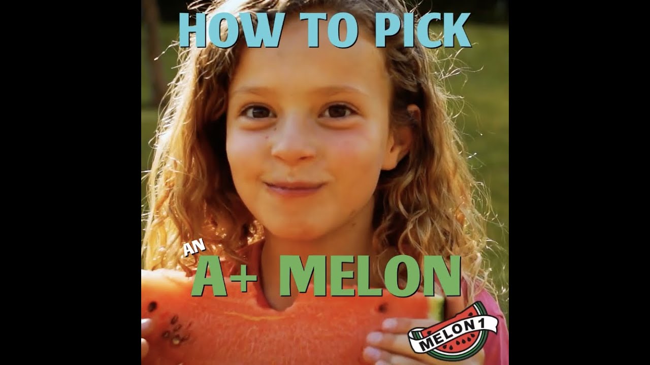 Melon 1: How To Pick Watermelons - YouTube