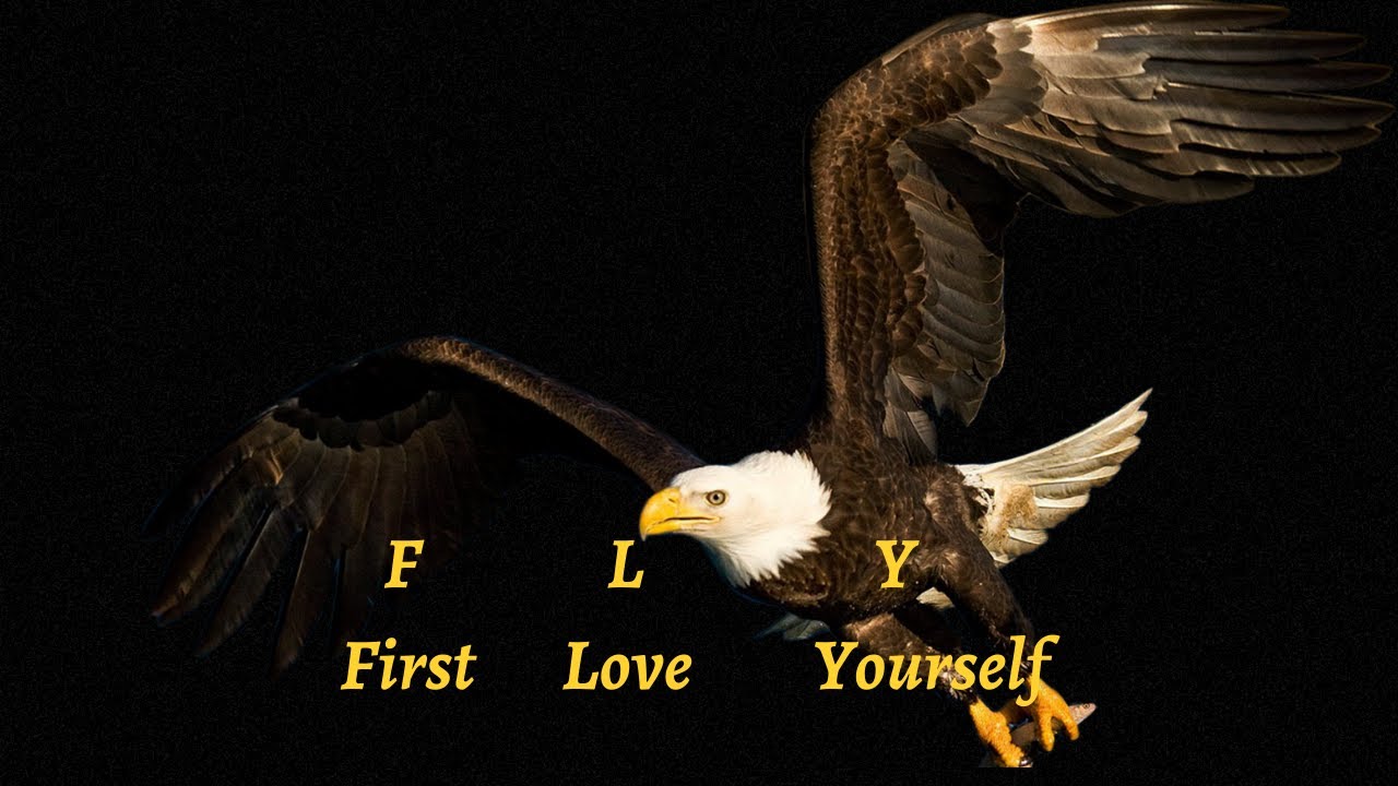 Deep Meaning motivational Quotes | Powerful Eagle Quotes | Life Lessons | Positive Vibes