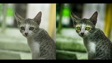 Photography post processing | Photoshop tutorial