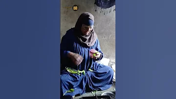 يا شاربين الشاي حلو البواقي واسقوها شوي أحلي أغاني الصعيد 