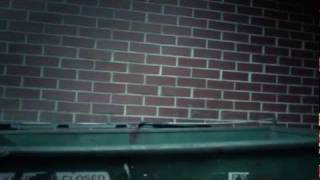 Devil in your Dumpster