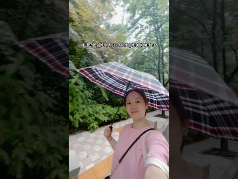 Видео: Что такое ЗОНТ для корейцев?! ☂️  #корея #корейский #жизньвкорее