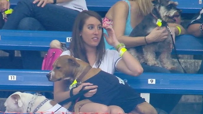 Check out the pups at Minute Maid Park for Astros' Dog Day