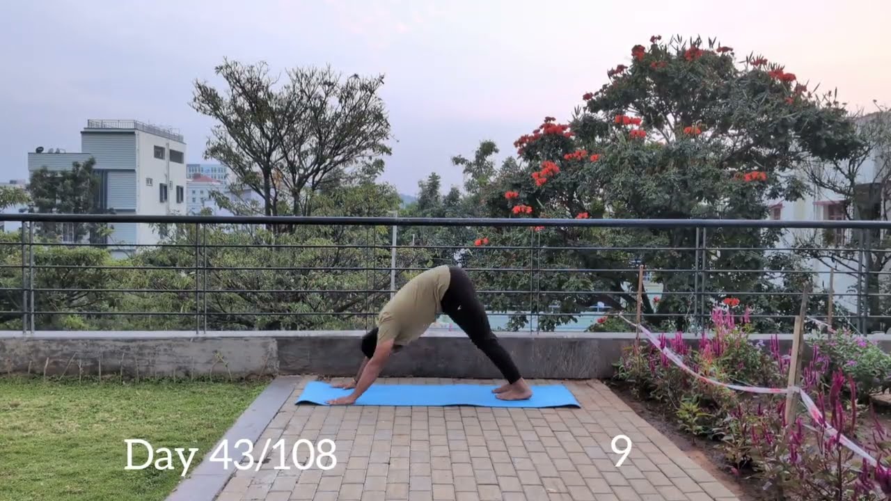Day 43 of adding one Surya Namaskar until it reaches 108