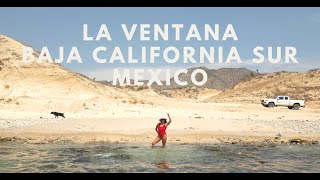 La Ventana Baja California Sur Mexico in Four Days | Best Beaches, Hot Springs and Ocean Safaris