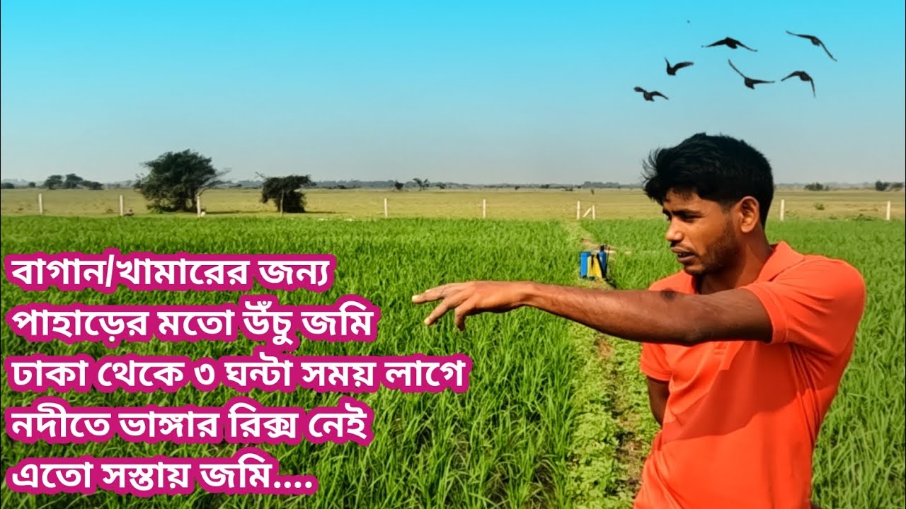 পানির দামে বাগান/খামারের জন্য উঁচু জমি, ঢাকার নিকটে নদীতে ভাঙ্গার রিক্স নেই @Matiomanushbyratan ||