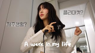 [VLOG] DAILY VLOG | MEETING 100 SUBSCRIBERS FOR MY OFFLINE FLEA MARKET..! | GOT A BANG 💇🏻‍♀️