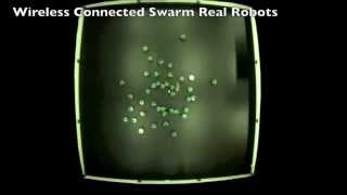 Wireless Connected Swarm - 40 simulated and real e-puck robots