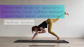 картинка: Разбор позы Собаки мордой вниз, адхо мукхо шванасана, от простого варианта