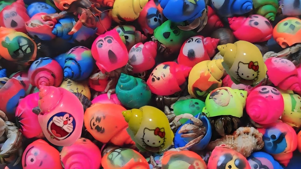 Amazing Snails, millipedes, insects, uret 