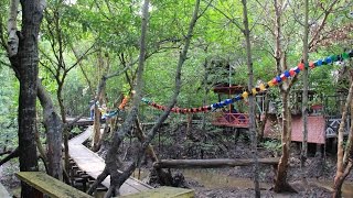 Ekowisata Bandar Bakau Dumai