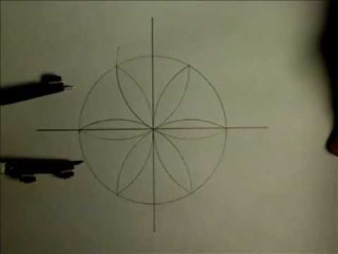 Video: How To Draw A Rosette