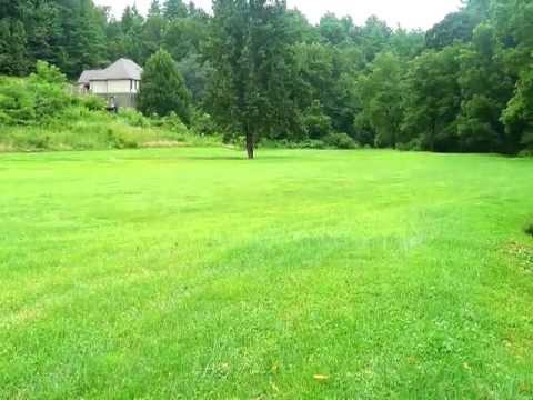 5 Arrow Cove Rd, Weaverville, NC home video tour