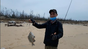 câu cá biển bạt bãi bắt được cá Hanh ( tráp) to 2kg và ổ cá chét thật nhiều và cá Chim