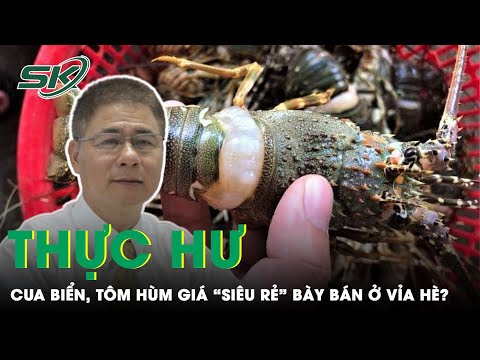 Video Sự Thật Về Cua Biển, Tôm Hùm Siêu Rẻ Bày Bán La Liệt Ở... - youtube