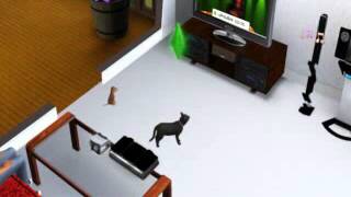 The sims 3 pies ogląda telewizję screenshot 1