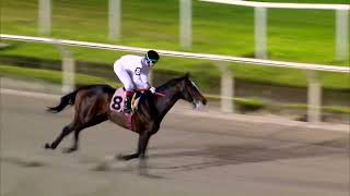 221002 c12 LEONIDES (ARG)